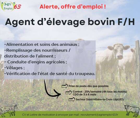 Photo de l'actualit Agent(e) d’levage bovins allaitants F/H