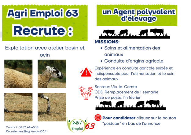 Photo de l'actualit Agent(e) polyvalent(e) d’levage F/H