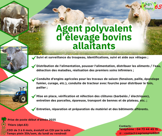 Photo de l'actualit Agent(e) polyvalent(e) d’levage F/H