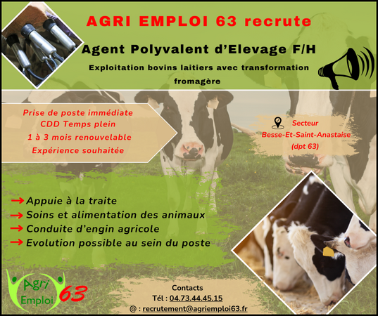 Photo de l'actualit Agent(e) polyvalent(e) d’levage F/H