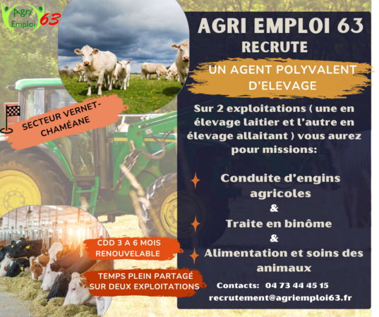 Photo de l'actualit Agent(e) polyvalent(e) d’levage F/H