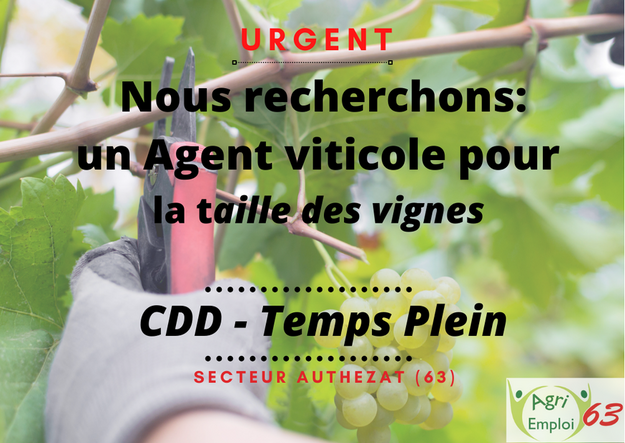 Photo de l'actualit Agent(e) viticole 